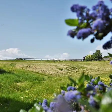 Ferienhaus 3 Bed In Richmond 90578 Catterick Bridge